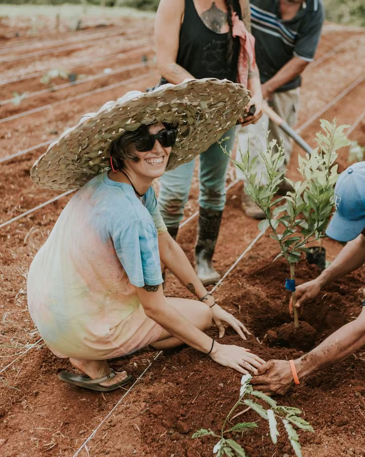Residents planting young trees at Tierramor's on-site permaculture farm